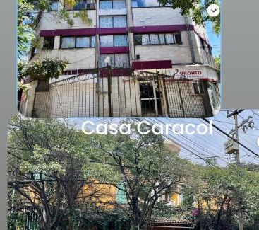 Guadalupe Inn Hotel | Satya Suites & Portal San Angel Flats