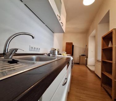 Kalkuni Apartment | saules