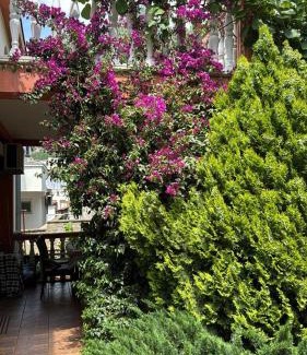 Dobra Voda Apartment | Sayohat Apartments