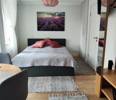 Engure Apartment | Seaside apartment Albatross, spa and pool