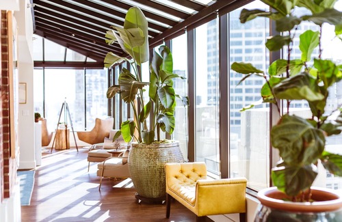 Downtown Seattle Hotel | Seattle Chic: Spacious, Contemporary Rooms in City's Vibrant Downtown