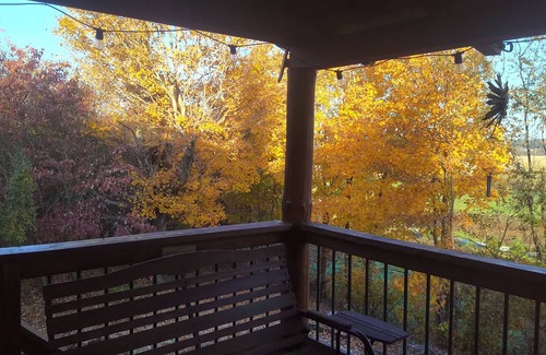 Laurelville Cabin | Secluded Cabin on the Hill at Laurel Springs Farm in the Hocking Hills