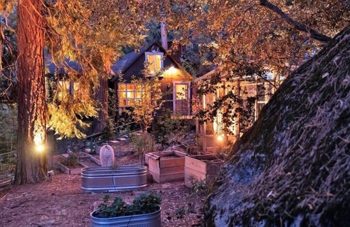 Pine Cove Cabin | Secluded mystical cabin in Idyllwild-Pine Cove