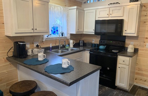 Franklin Cabin | Secluded Storybook Cabin -Dog Friendly with Fenced Yard and WIFI.