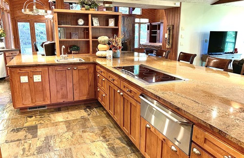 Eureka Springs House | Secluded Waterfront Lakehouse!- Gourmet kitchen, private swim dock, fire pit!
