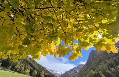 Valle Aurina Apartment | Seeberhof - Urlaub am Bauerhof