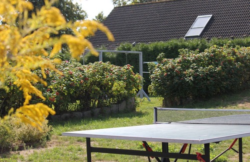 Gross Schwansee Apartment | Seestern apartment - perfect for families with playground & garden, 15 min to the beach