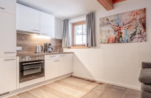 Hinterthal Apartment | Selbhorn