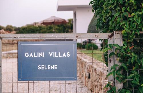 Stavros Villa | Selene a modern villa with private pool
