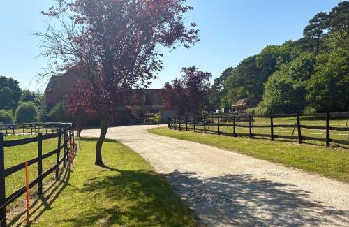 Wareham Apartment | Self Catering Apartment, Jurassic Coast/Dorset