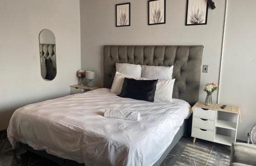 Greater Johannesburg Metropolitan Area House | Semeni Asante Guesthouse Getaway