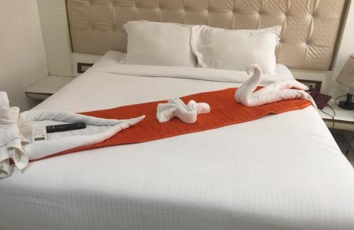 Sector 11 Hotel | Setrac Orange Hotel