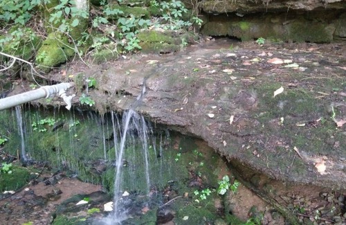 Gainesboro RV Rental | Shaggy Bark Camping6. A more private camping experience. The 75 acre Walker Farm