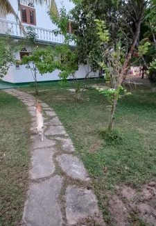 Midigama Hotel | Shanon Lake Villa Surf Lodge