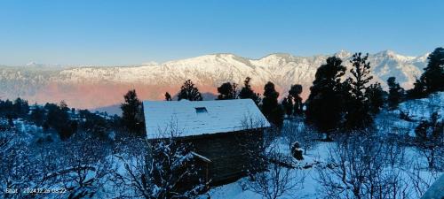Mohal Ski Chalet | Shantchit yoga and wellness