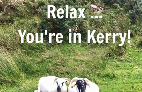 Kilgarvan Bed & Breakfast | Sheepviewhouse Leo