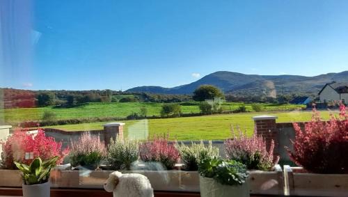 Kilgarvan Bed & Breakfast | Sheepviewhouse Leo