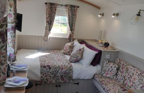 Enniskillen House | Shepherd Hut Enniskillen Blossom, Fermanagh