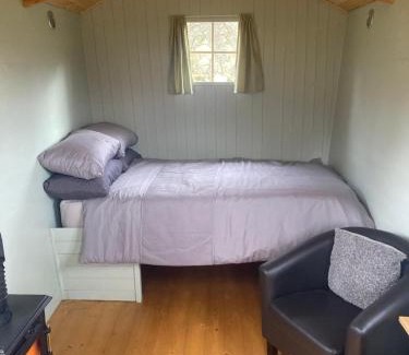 Gellilydan Other | Shepherds hut on alpaca farm