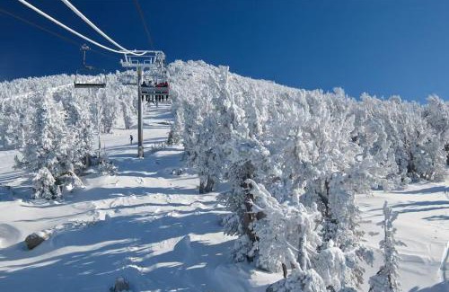 Mammoth Lakes Apartment | Sherwin Villas B13