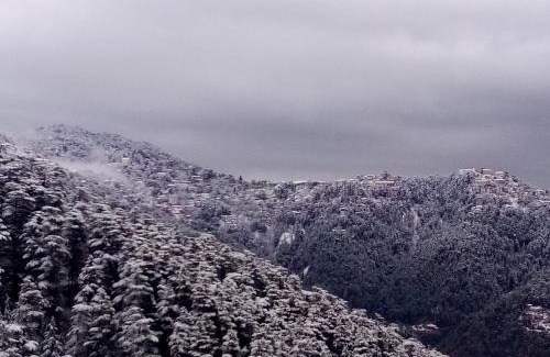 Shimla House | Shimla Regency