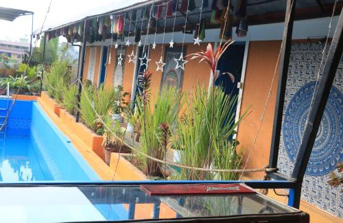 Sauraha Hotel | Shivas Hippies Colony