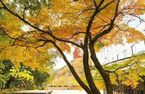 Shuzenji Hotel | Shuzenji Onsen Hotel Takitei