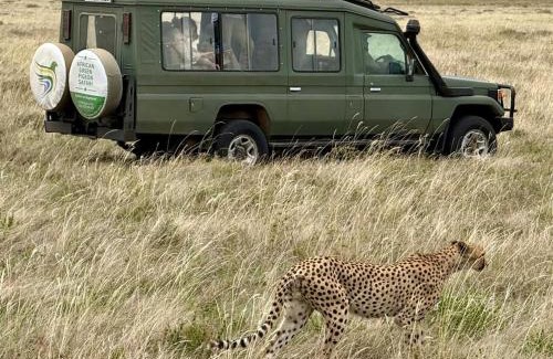 Arusha Bed & Breakfast | Sia