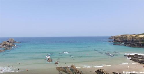 Zambujeira do Mar Apartment | SigmaApartment