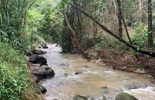 Madikeri House | SILVER BROOK ESTATE HOMESTAY