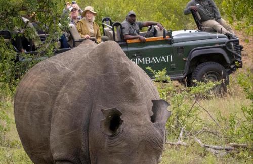Thorny Bush Game Reserve Apartment | Simbavati Mvubu Cottage