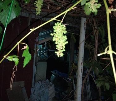 Kampung Pantai Halban House | Singgahan Keluarga Jitu