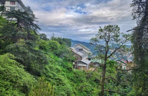 Shimla Hotel | Sirhind Regency - Budget Friendly ! Travellers Delight ! Luxury Rooms ! Best Awarded