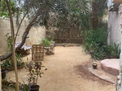 Shurtah al-Dakhlah Hotel | Siwewi green house