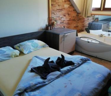 Kopaonik Hotel | Ski hotel DOBRODOLAC