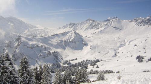 La Chapelle-d'Abondance Ski Chalet | Ski La Cote