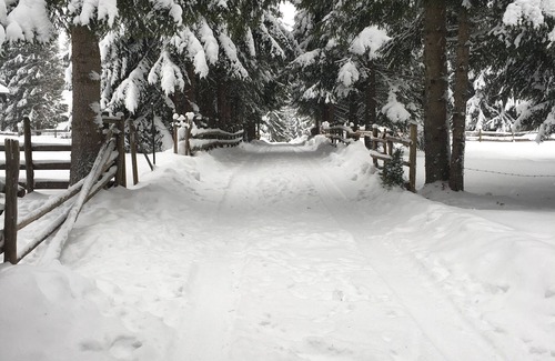 Kasidoli Apartment | Skiing, snowboarding, mountain, vacations