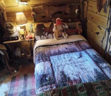 Chiefland Other | Sky acres aka the tin cottage