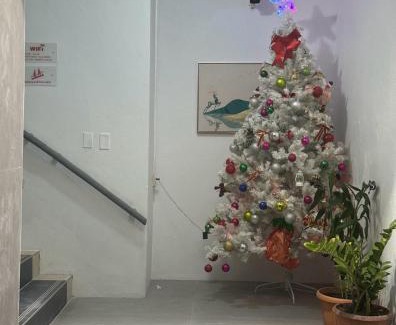 Caye Caulker Hotel | SKY INN