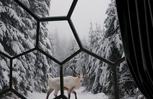 Kalix Municipality House | Sleep Under the Northern Lights - SKOG Aurora Igloo - Kalix
