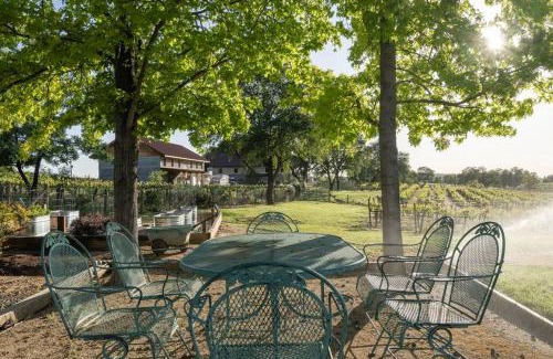 Shenandoah Valley House | Sleeps 12 Pet Friendly Next to Amador Top Wineries