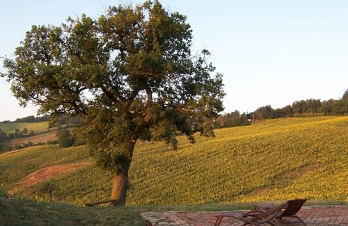 Santa Maria d'Alto Cielo House | Small Country House with pool and park