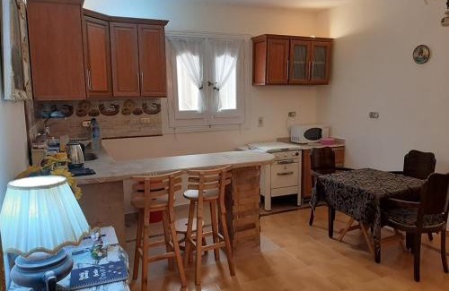 The 5th Settlement Apartment | Small Friendly Apart In a Villa - New Cairo 5th Settlement