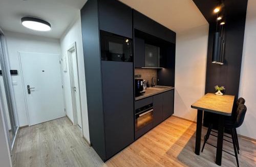 Vrsovice Apartment | Smarty Choice Living with Netflix - Kubánské náměstí