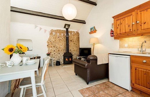 Whitchurch Canonicorum Cottage | Smugglers Cottage - Logburner, Indoor Pool, Spa, Sauna Access , Alpacas! - sleeps 2 guests in 1 bed