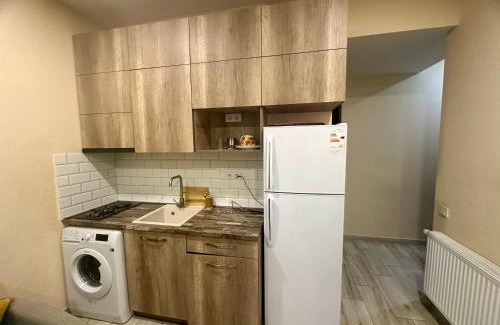 Bakuriani Apartment | Snow Forest ԲԱԿՈՒՐԻԱՆԻ-ბაკურიანი-BAKURIANI