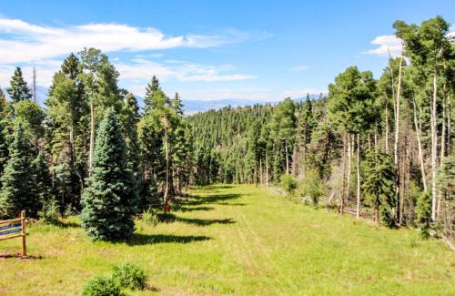 Angel Fire Apartment | Snowfire 208B