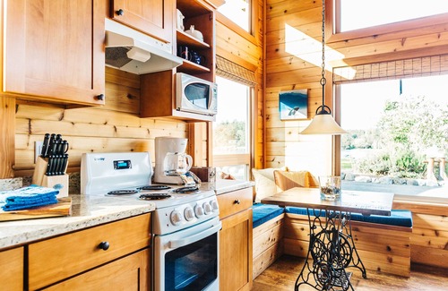 Friday Harbor Cabin | Snug Harbor Resort and Marina - One Bedroom Waterfront Cabin Handicap Access