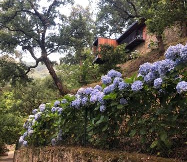 Parada de Bouro House | Sobreiro Valley - Casa Firmino