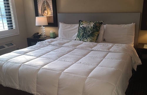 Downtown Hotel | Sole Inn and Suites